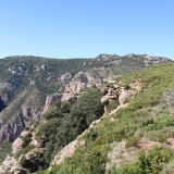 IMG_7298
