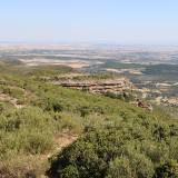 IMG_7307