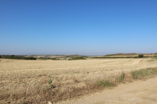 IMG_7325.jpg