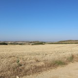 IMG_7325