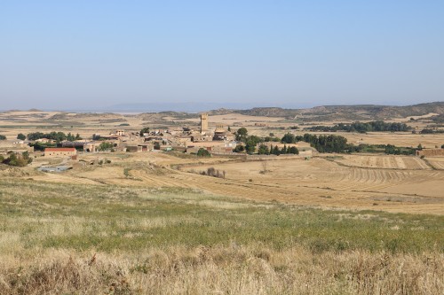 IMG_7328.jpg