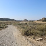 IMG_7333