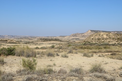 IMG_7338.jpg
