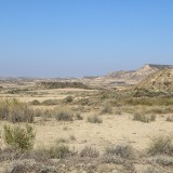 IMG_7338