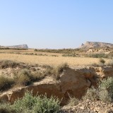 IMG_7339