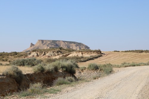 IMG 7346