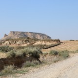 IMG_7346