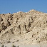 IMG_7347