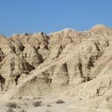 IMG_7348