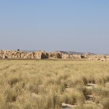 IMG_7349