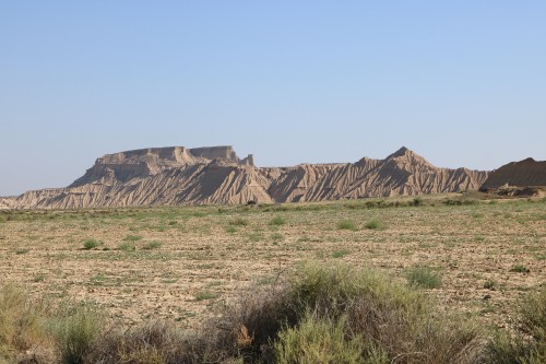 IMG_7350.jpg