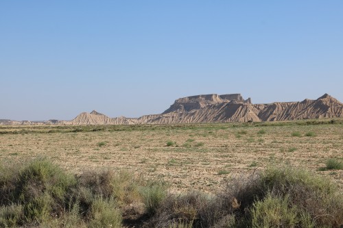 IMG_7355.jpg