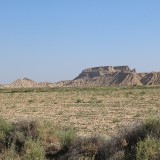 IMG_7355