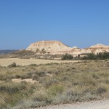 IMG_7357