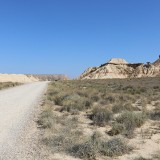 IMG_7360