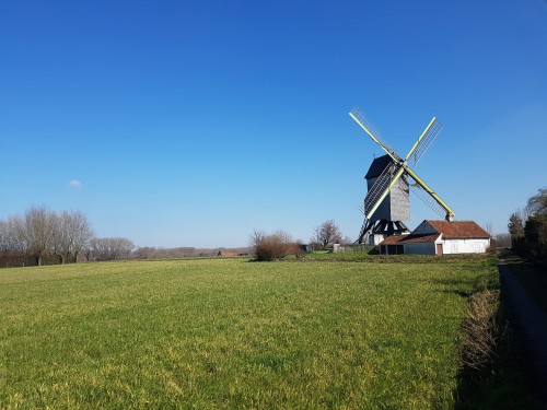 20210320_141014.jpg
