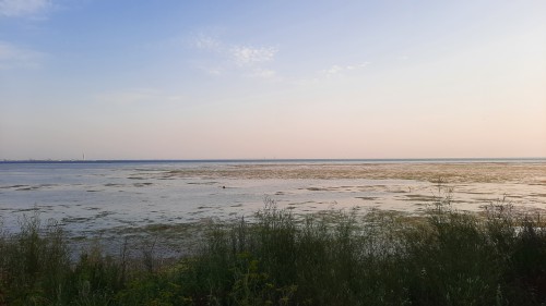 20220720_203206.jpg