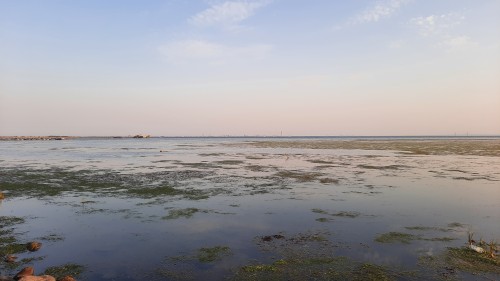 20220720_203424.jpg