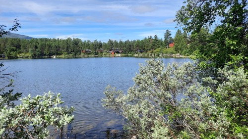20220722_120647.jpg