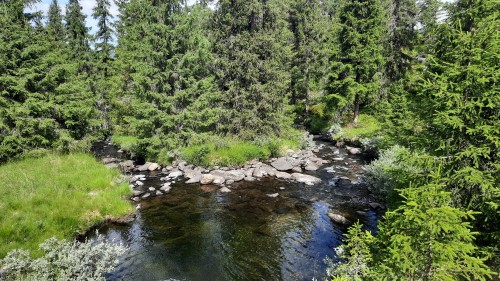 20220722_134012.jpg