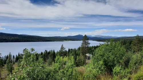 20220722_141802.jpg