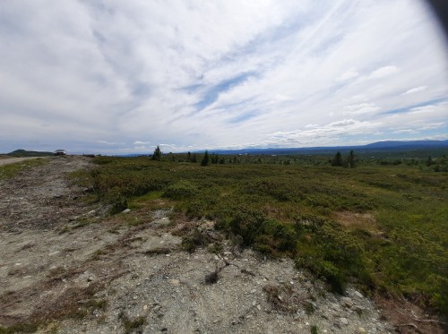 20220722_145713.jpg