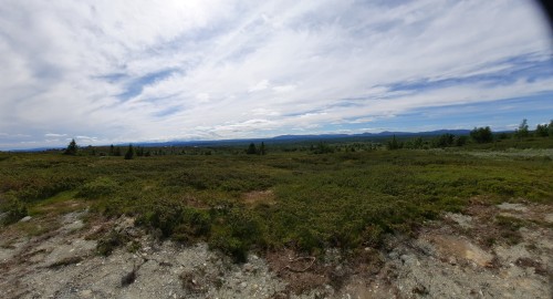 20220722_145810.jpg