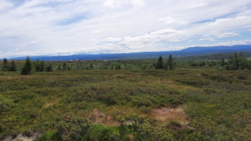 20220722_145849.jpg