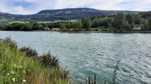 20220722_170416.jpg