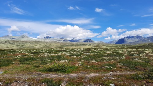20220723_110416.jpg