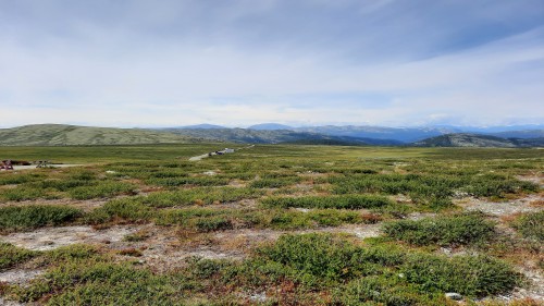 20220723_110812.jpg