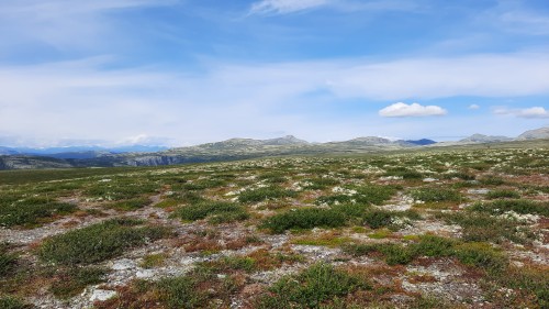20220723_110818.jpg