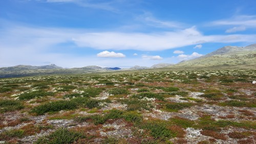 20220723_110821.jpg