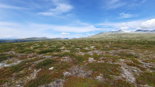 20220723_110825.jpg