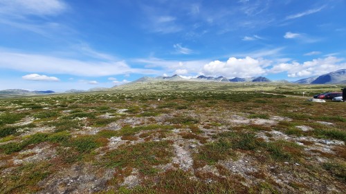 20220723_110828.jpg