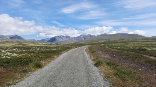 20220723_112335.jpg