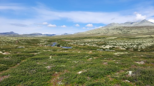 20220723_112732.jpg