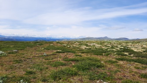 20220723_114349.jpg