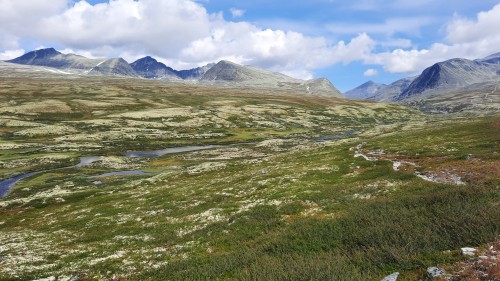 20220723_120437.jpg