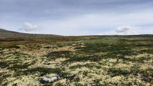 20220723_122833.jpg
