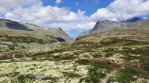 20220723_130034.jpg