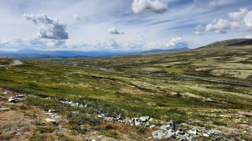 20220723_133146.jpg