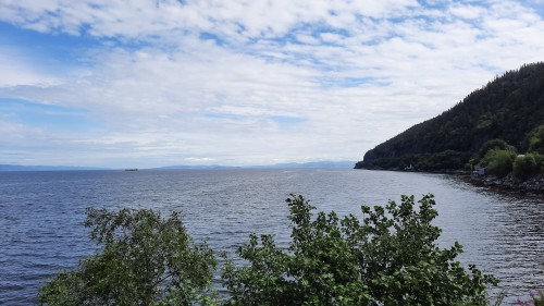 20220724_114555.jpg