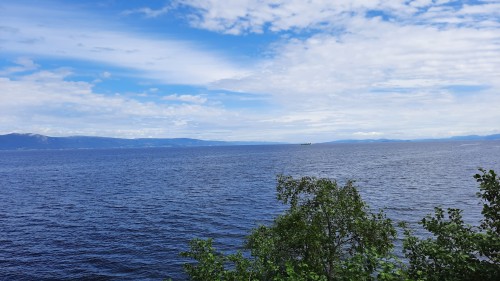 20220724_114558.jpg