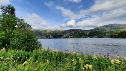 20220724_165128.jpg