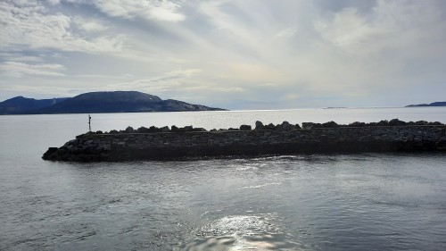 20220724_174230.jpg