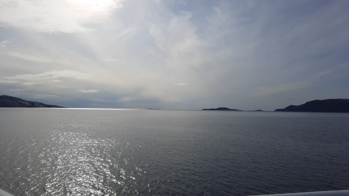 20220724_174816.jpg
