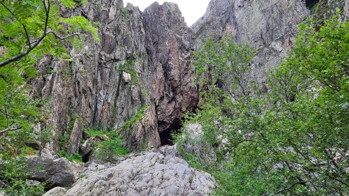 20220724_193244.jpg