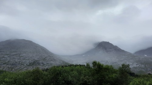20220725_094237.jpg