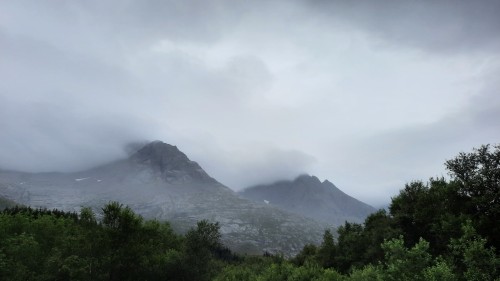 20220725_094241.jpg